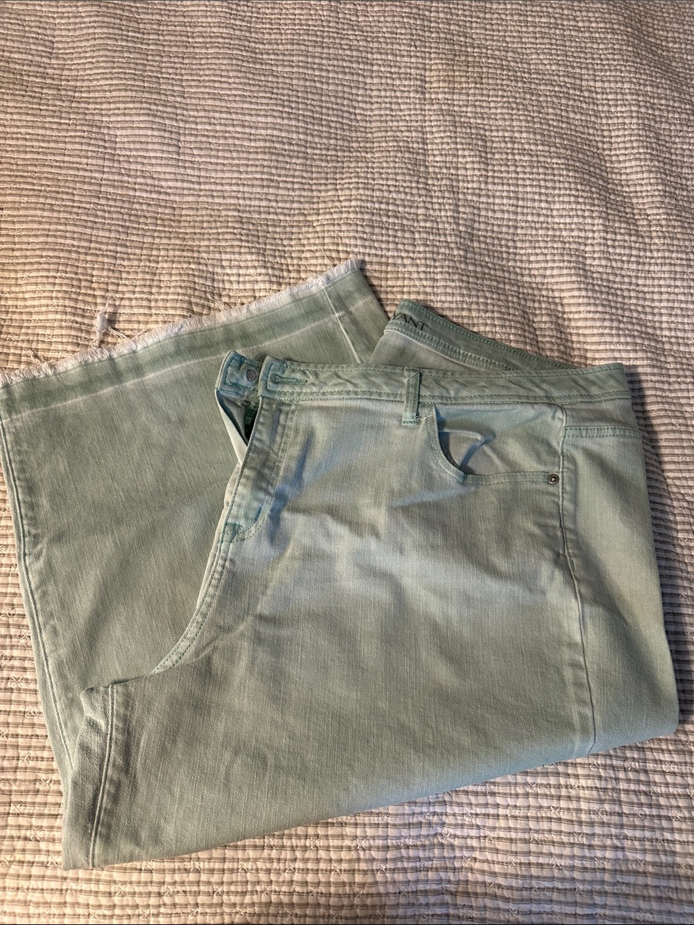 Lane Bryant Mint Green Capri Pants